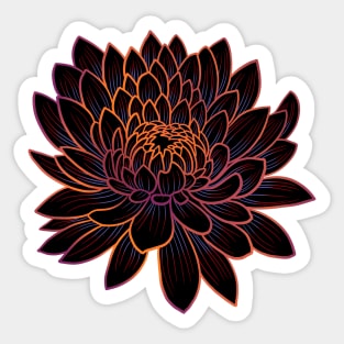 Colorful chrysanthemum or Mums flower drawing - faded orange with red and blue lines in the petals. Sticker